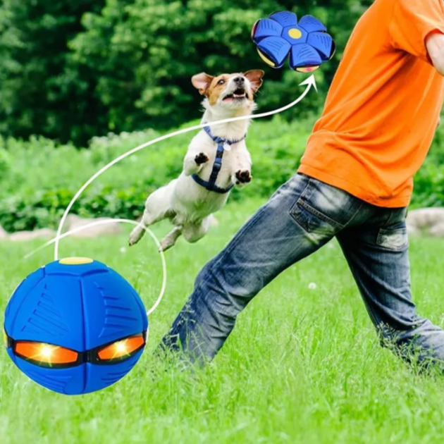 Flying Saucer Ball Dog Toy Outdoor Use