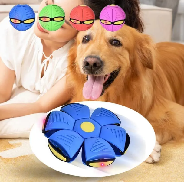 Flying Saucer Ball Dog Toy Color Options
